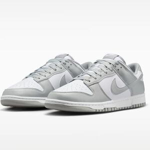 Nike Sneakers in Gray and White